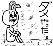 22556120