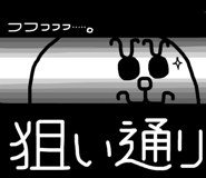 22556126