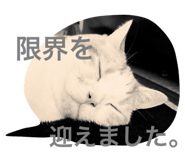 22558451