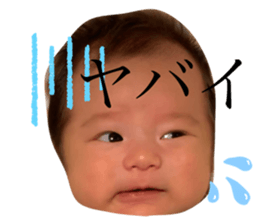 225607025