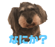 225689086