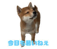 225689087