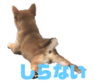 225689089
