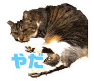 225689090