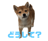 225689091