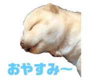 225689092