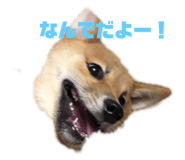 225689093