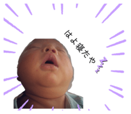 225704530