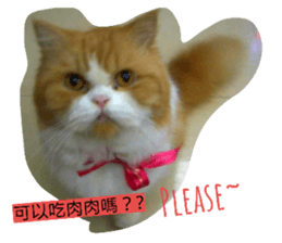 22571711