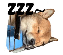 225849430