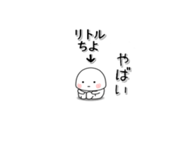 225862646