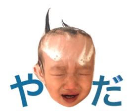22590465