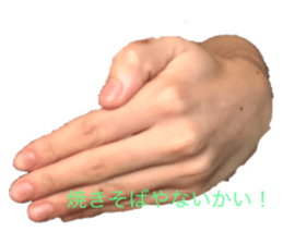 225933924