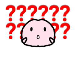 22596981