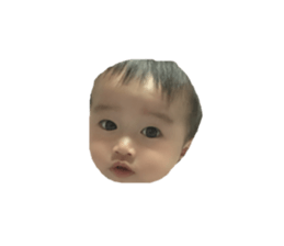 226019590