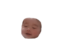 226019591