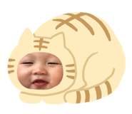 226025081