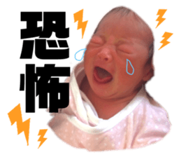 226039307
