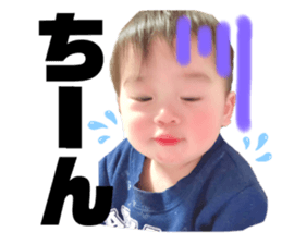 226039314