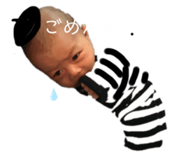 226046232