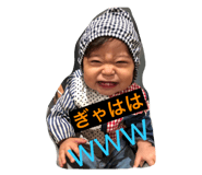 22624562