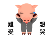 22629574