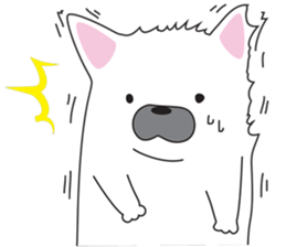 2263920