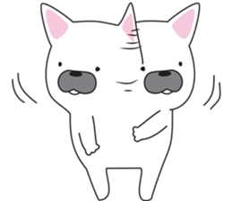 2263925