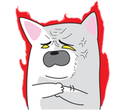 2263927
