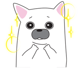 2263936