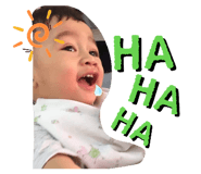 226478835
