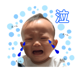 226557521