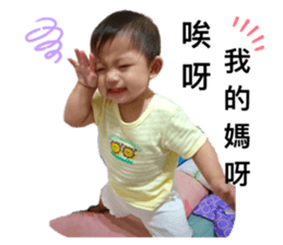 226626445