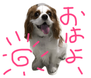 22672944