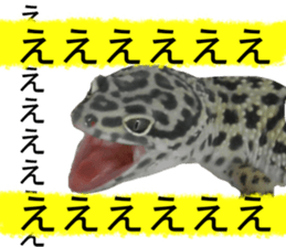 22674721
