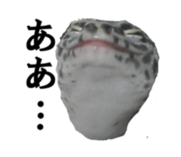 22674741