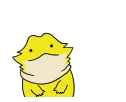 226822547