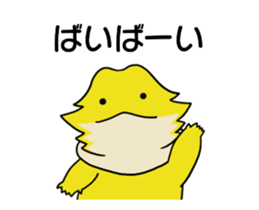 226822561