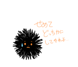 22708055