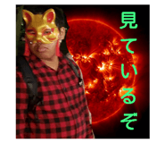 227084956