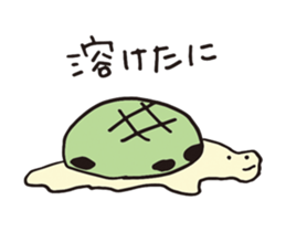 22718259
