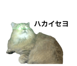 227191748