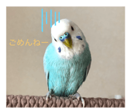 227247378