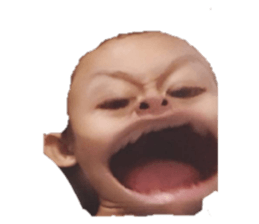 227247576