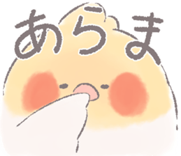 227255898