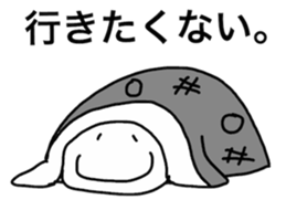 227259623