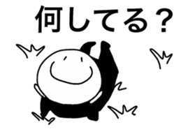 227259652
