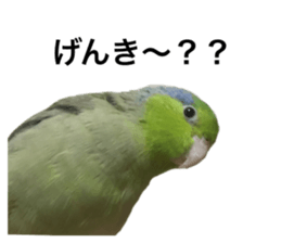 227293104