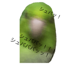 227293108
