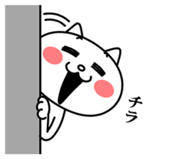 22732397